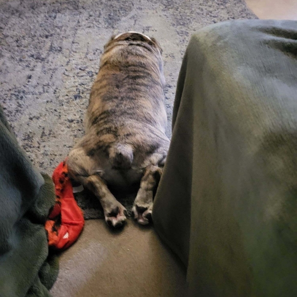 Meet your Posher, Melanie - Picture 5 of 7